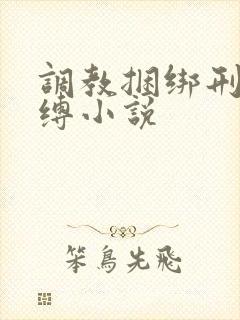 调教捆绑刑具束缚小说