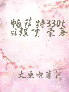 帕萨特330tsi报价 豪华版