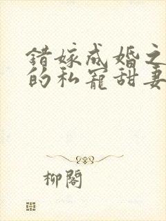 错嫁成婚之总裁的私宠甜妻完整版 错嫁成婚之总裁的私宠甜妻完整版