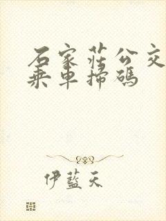 石家庄公交公司乘车扫码