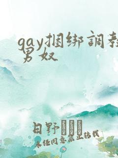 gay捆绑调教男奴