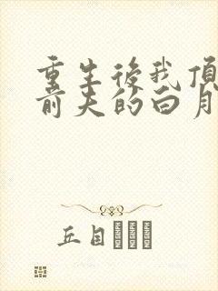 重生后我顶替了前夫的白月光完结