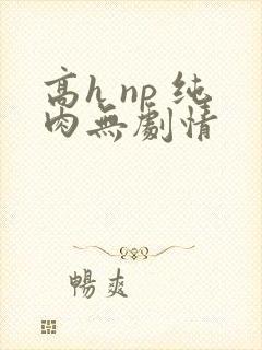 高h np 纯肉无剧情