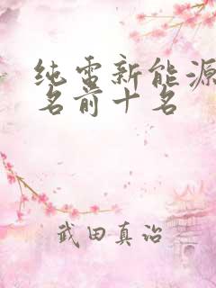 纯电新能源车排名前十名