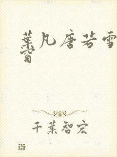叶凡唐若雪无弹窗