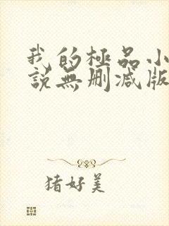 我的极品小姨小说无删减版