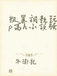 粗暴调教玩弄np高h小说骚受