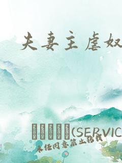 夫妻主虐奴视频