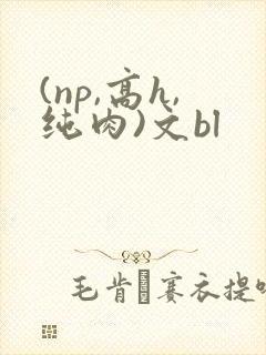 (np,高h,纯肉)文bl