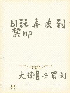 bl玩弄爽到失禁np