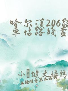 哈尔滨206路车站路线查询表