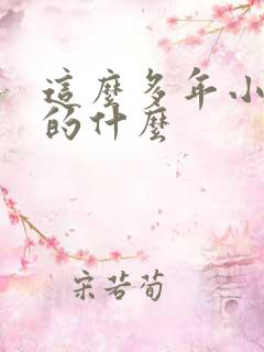 这么多年小说讲的什么