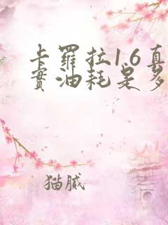 卡罗拉1.6真实油耗是多少