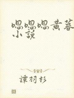 嗯嗯嗯黄蓉好棒小说