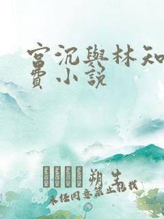 宫沉与林知意免费小说