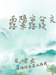 南阳市公交20路车路线 南阳市公交20路车路线