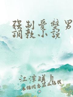 强制爱双男训诫调教小说