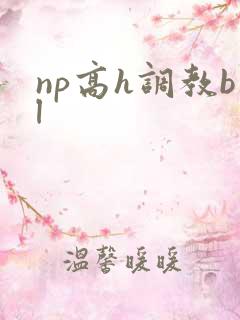 np高h调教bl