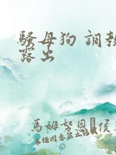 骚母狗 调教 露出