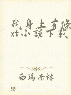 我身上有条龙txt小说下载