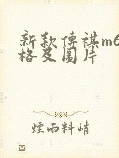 新款传祺m6价格及图片
