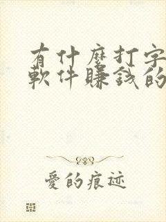 有什么打字录入软件赚钱的
