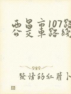 西昌市107路公交车路线