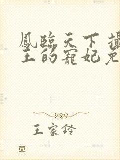 凤临天下 摄政王的宠妃免费阅读