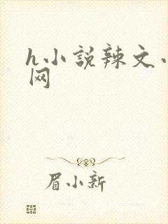 h小说辣文小说网