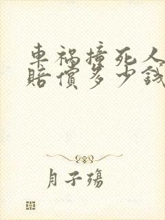 车祸撞死人一般赔偿多少钱
