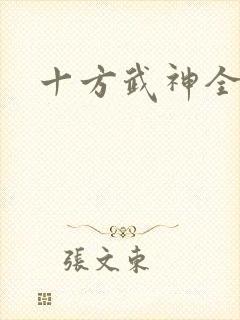 十方武神全书