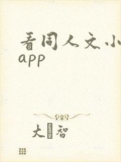 看同人文小说的app