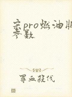 宋pro燃油版参数