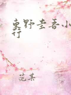 东野圭吾小说排行 东野圭吾小说排行