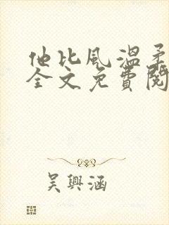 他比风温柔小说全文免费阅读