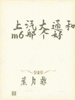 上汽大通和传祺m6哪个好 上汽大通和传祺m6哪个好