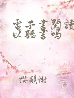 电子书阅读器可以听书吗