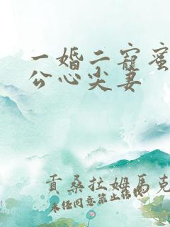 一婚二宠蜜制老公心尖妻
