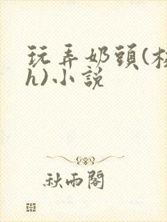 玩弄奶头(校园h)小说