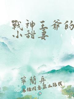战神王爷的哭包小甜妻