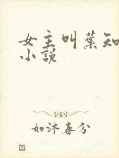 女主叫叶知秋的小说