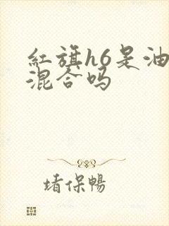 红旗h6是油电混合吗
