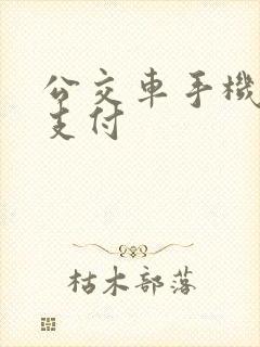 公交车手机怎么支付