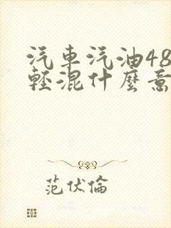 汽车汽油48v轻混什么意思