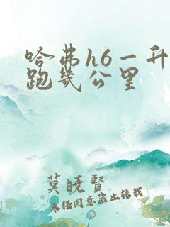 哈弗h6一升油跑几公里