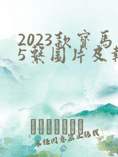 2023款宝马5系图片及报价