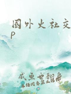 国外火社交app