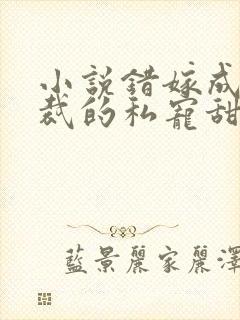 小说错嫁成婚总裁的私宠甜妻