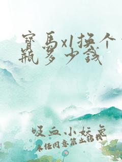 宝马x1换个电瓶多少钱