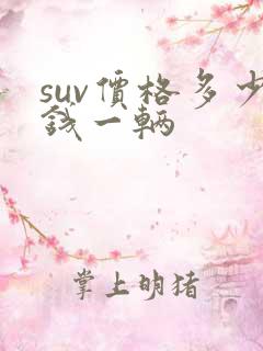 suv价格多少钱一辆